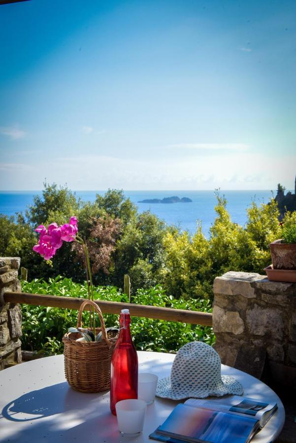 Villa Punta Del Sole Positano Exterior photo